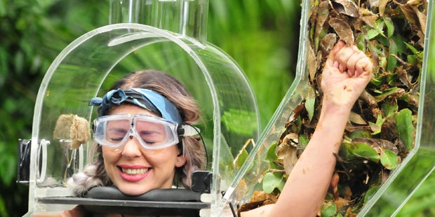 Dschungel: Frankhauser holt die Krone