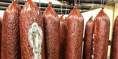 Wilke Salami Listerien Todes-Wurst