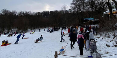 Wirbel um "Mega-Rodelparty" am Wiener Kahlenberg