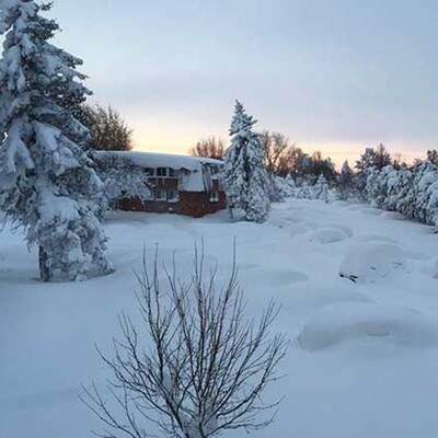 So viel Schnee liegt in Buffalo