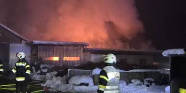 14 Pferde bei Brand von Stall in der Steiermark gerettet, Mann wurde verletzt