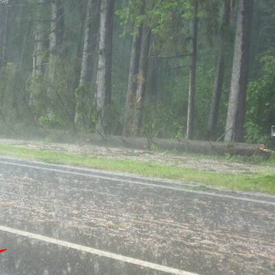 Sturmböen im Mühlviertel