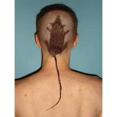 Die schlimmsten Frisuren aller Zeiten 