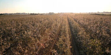 Täglich wird es sonniger und wärmer