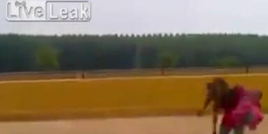 Kung-Fu-Stier setzt Matador au&szlig;er Gefecht