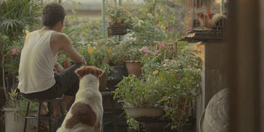 YouTube-Hit r&uuml;hrt zu Tr&auml;nen