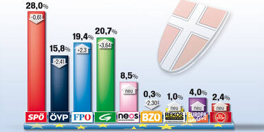 EU-Wahl: So wählte Wien