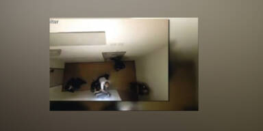 Misshandlungsvideo: Justizanstalt Suben