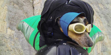 Hund macht ersten Basejump