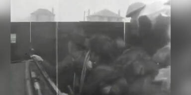 Landung der Alliierten in der Normandie am 6. Juni 1944