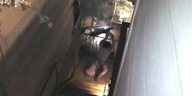 Hund k&auml;mpft gegen Waschb&auml;r