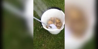 Erd&auml;pfel sch&auml;len auf M&auml;nner-Art