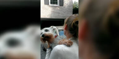 Hund stirbt fast vor Freude