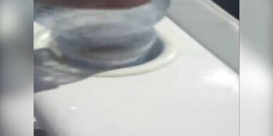 Schweiger: Shitstorm wegen Quallenvideo