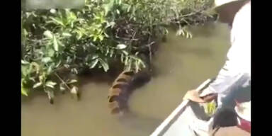 Fischer traf auf Monster im Fluss