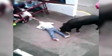 Bulle erwischt Stierlauf-Zuseher