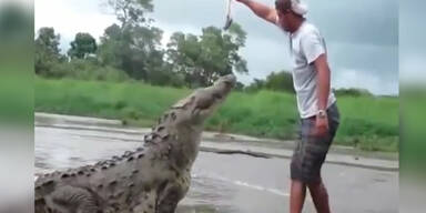 Mann wird fast zu Krokodil-Futter