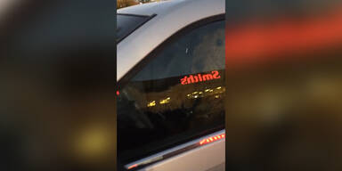 Ungeduldiger Hund im Auto