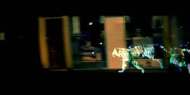 Ein Tiger l&auml;uft durch Paris