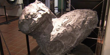 "Tschuri": Organische Substanzen