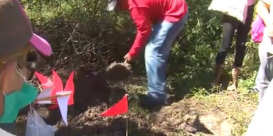 Vermisste Studenten: Graben nach Leichen