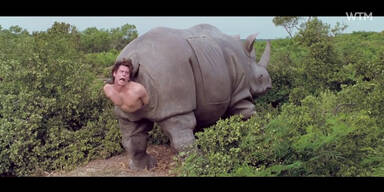 Jurassic Park trifft auf Ace Ventura
