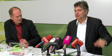 Kogler zum Hypo-Bericht