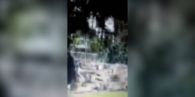 Neo-Nazi springt in L&ouml;wengehege