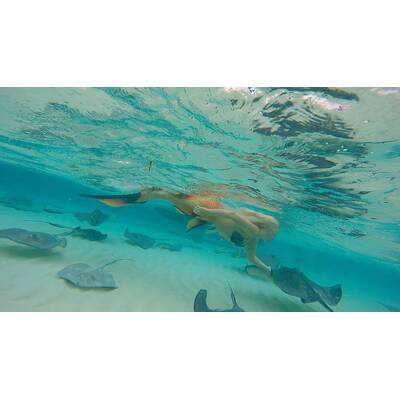 Melissa ist die einzige Meerjungfrau der Welt!