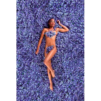 American Beauty - Shooting