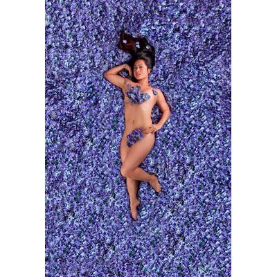 American Beauty - Shooting