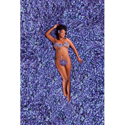 American Beauty - Shooting