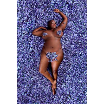 American Beauty - Shooting