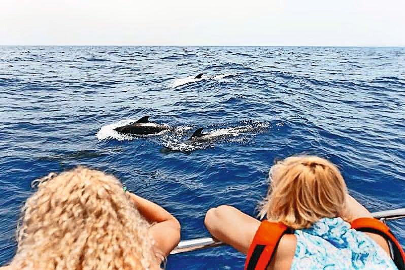 Kanaren: Erlebnisse für Familien