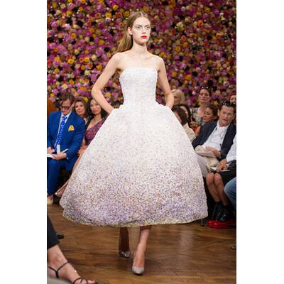 Dior Haute Couture Herbst/Winter 2012/13