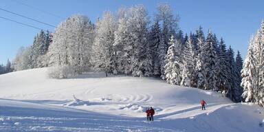 K&ouml;nigsberg-Skilift Hollenstein/Ybbs