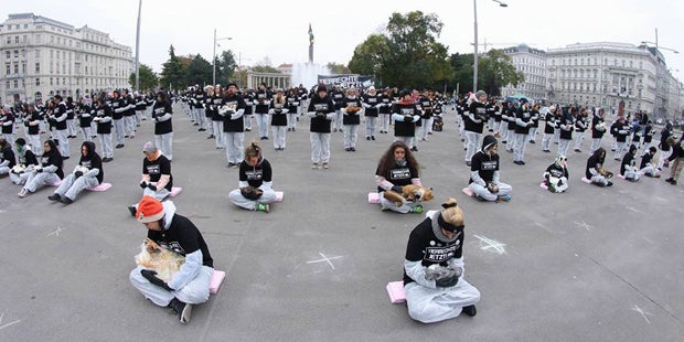 Tierschützer-Protest mit 650 toten Tieren