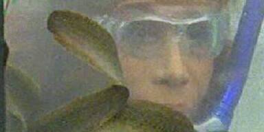 Queen Ingrid und die Känguruh-Hoden