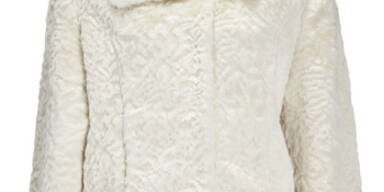 Die besten Winterbegleiter