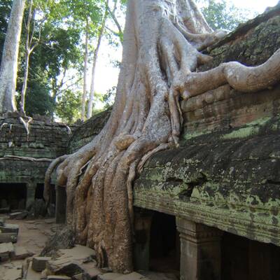 25. Las Vegas, Nevada