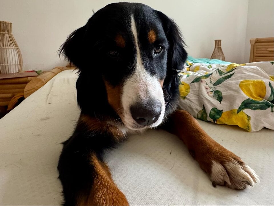 Malu wieder gefunden