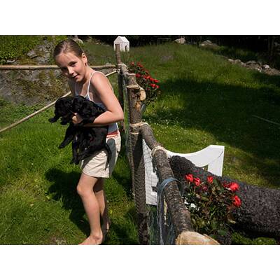 Mette-Marit und Prinz Haakon im Hunde-Glück