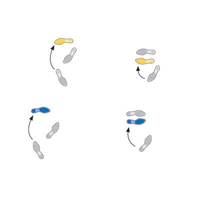 Tanzschritte: Quickstepp