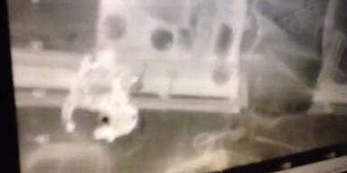 Abseilen von Rettungskr&auml;ften