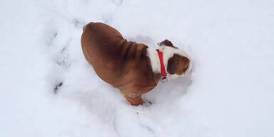 Das erste Mal im Schnee