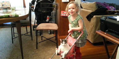 Katze als Puppenersatz