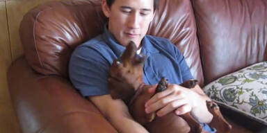 Mann singt im Duett mit seinem Dackel