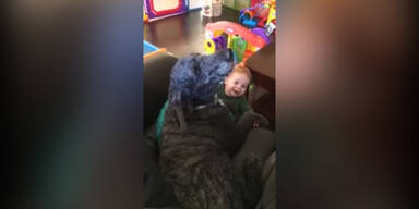 Baby und Hund Jaulen gemeinsam