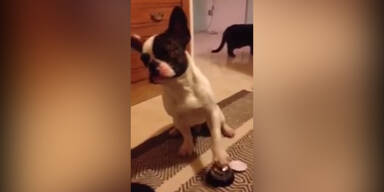 Wo bleibt das Essen?