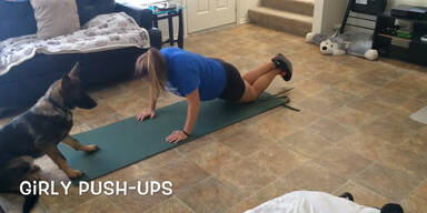 Hund macht Sport-&Uuml;bungen